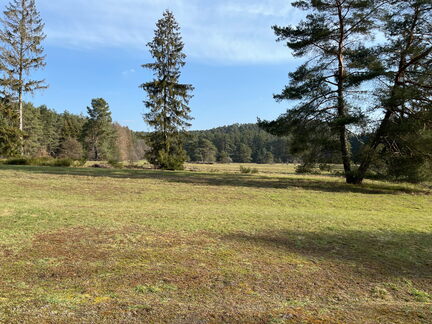 23-03-02 10-09-59 4549